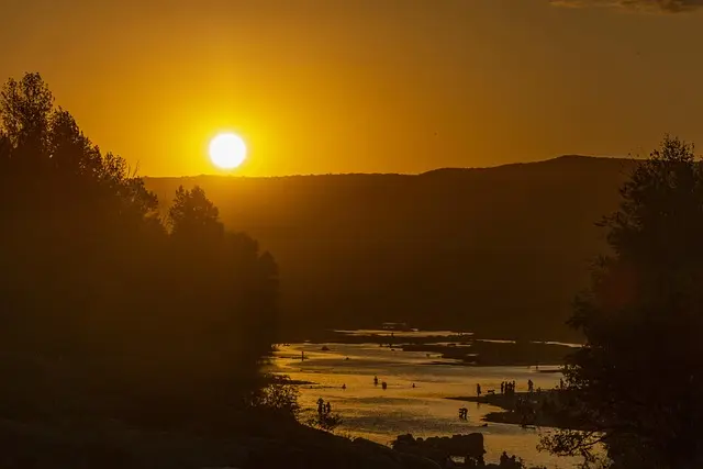 Guide d'Achat : Meilleurs Revêtements de Sol